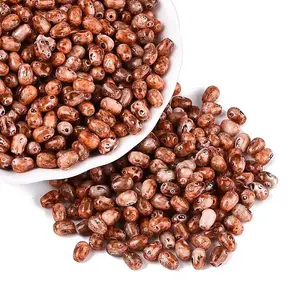 Picasso Glass Seed Beads