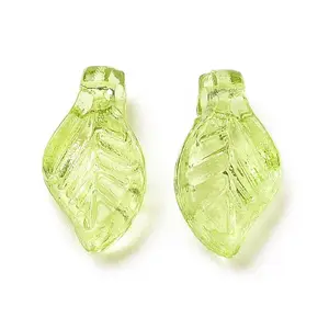 Transparent Acrylic Charms