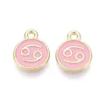 Alloy and Enamel Charms