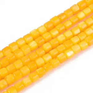 Dyed Natural Freshwater Shell Beads Strands