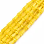 Natural Freshwater Shell Beads Strands
