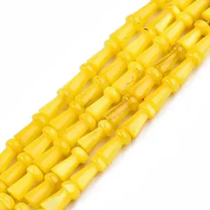Natural Freshwater Shell Beads Strands
