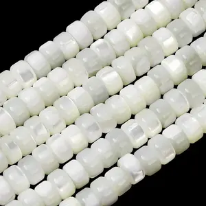 Natural Trochid Shell/Trochus Shell Beads Strands