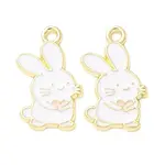 Alloy Enamel Pendants