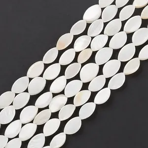 Natural Freshwater Shell Beads Strands