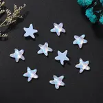 Starfish Glass Cabochons