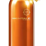 Montale Honey Aoud - EDP 100 ml