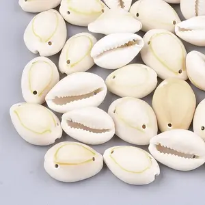 Cowrie Shell Links Connectors