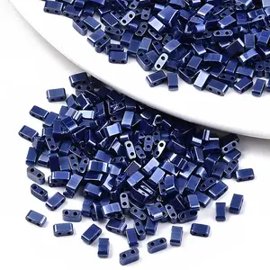 FGB 2-Hole Glass Seed Beads