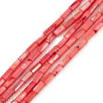 Natural Freshwater Shell Dyed Beads Strands