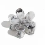 Gradient Color Plastic Claw Hair Clips