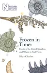 Frozen in Time - Rhys Charles