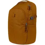 BAAGL DASH MAX Batoh, hnedá, veľkosť