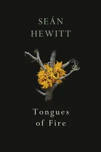 Tongues of Fire - Sean Hewitt