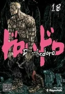 Dorohedoro, Vol. 18 - Q-Hayashida