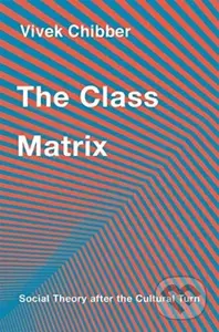 The Class Matrix (Social Theory after the Cultural Turn) - kniha z kategorie Byznys a management