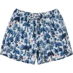 SAXX OH BUOY 2N1 VOLLEY 5 Pánske plavecké šortky, modrá, veľkosť