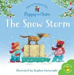 The Snow Storm - Heather Amery
