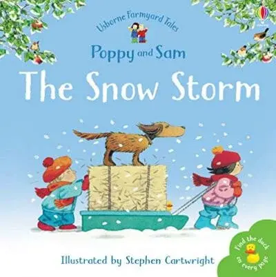 The Snow Storm - Heather Amery