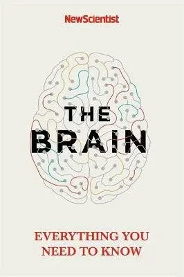 The Brain - New Scientist