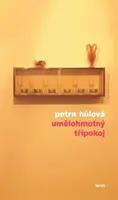 Umělohmotný třípokoj - Petra Hůlová - e-kniha