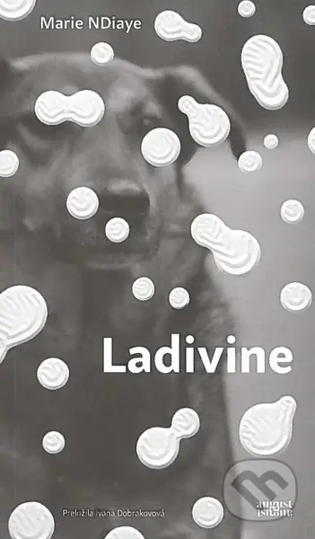 Ladivine - Marie NDiaye - kniha z kategorie Společenská beletrie