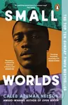 Small Worlds - Caleb Azumah Nelson - kniha z kategorie Společenská beletrie