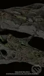 Posthumanistická planetární (po)etika - Jiří Sirůček