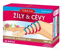 TEREZIA ŽILY & CIEVY