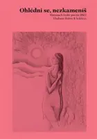 Ohlédni se, nezkameníš - Vladimír Stibor