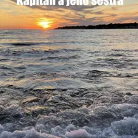 Kapitán a jeho sestra - Alice Belis