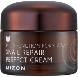 MIZON Snail Repair Perfect Cream, Vyživující krém na vrásky 50 ml