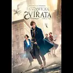 Různí interpreti – Fantastická zvířata a kde je najít DVD