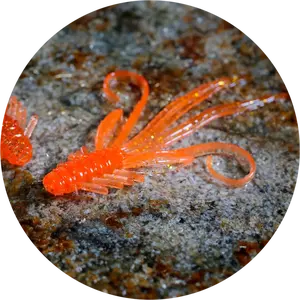 Redbass gumová nástraha nymfa orange g - x 100 mm uv