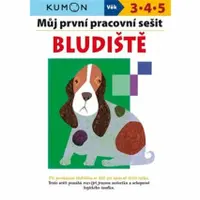 Můj první pracovní sešit Bludiště  Giovanni K. Moto, Toshihiko Karakida, Yoshiko Murakami - Toshihiko Karakida, Yoshiko Murakami, Giovanni K. Moto