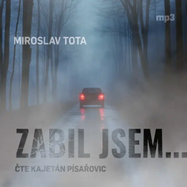 Zabil jsem... - Miroslav Tota - audiokniha