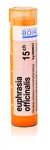Boiron EUPHRASIA OFFICINALIS CH15 granule 4 g