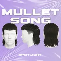 Spotlight – Mullet song