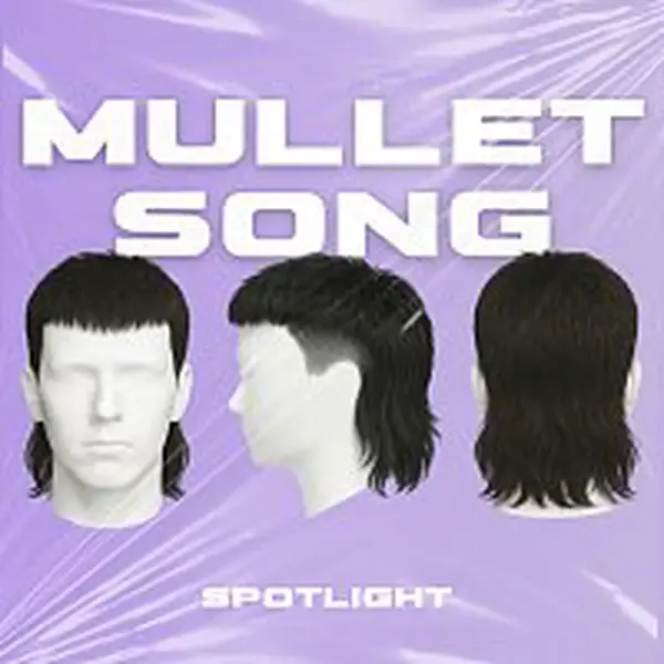 Spotlight – Mullet song