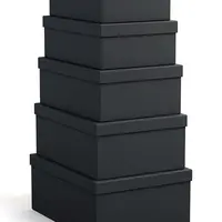 Sada úložných boxů Bigso Box of Sweden Joel 5-pack
