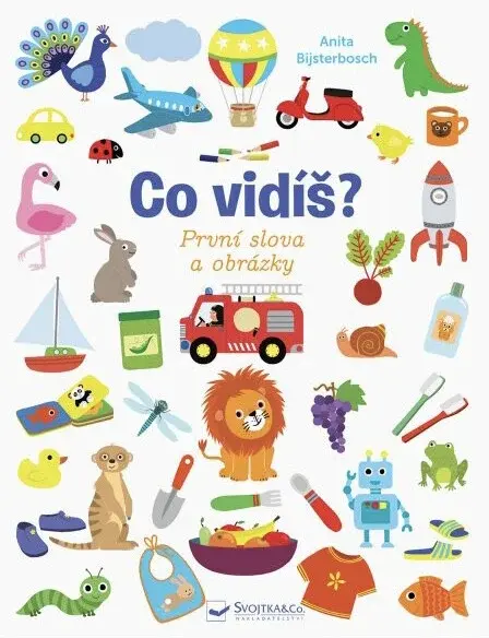 Co vidíš? - Anita Bijsterboschová