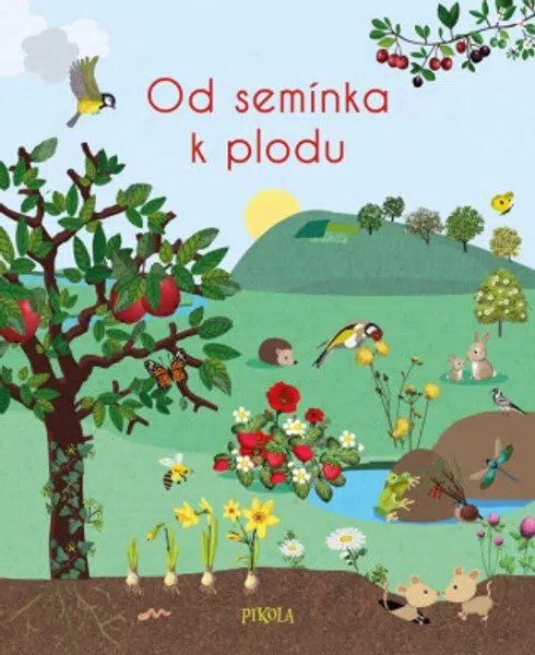 Od semínka k plodu - Colas des Francs Nicole
