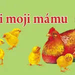 Najdi moji mámu