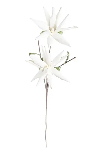 Umělá květina Bizzotto White Aloe Chinesis