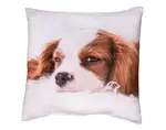 Dekoračný vankúšik Kavalier King Charles Španiel, 25x25 cm%
