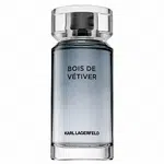 Lagerfeld Bois de Vétiver toaletná voda pre mužov 100 ml