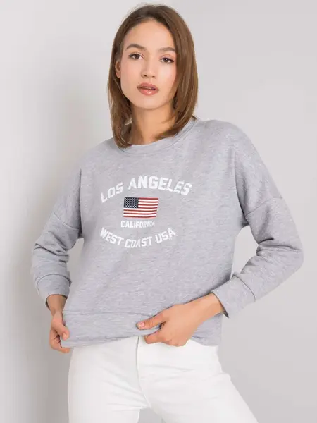 Sweatshirt-RV-BL-6670.14-gray