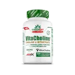 AMIX GreenDay ProVegan Choline Bitartrate VitaCholine , 120cps