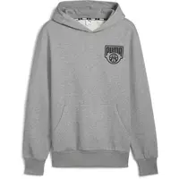 Puma POSTERIZE HOODIE Pánská mikina, šedá, velikost