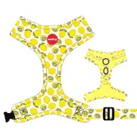 Reedog LEMON | Postroj pre psa - M
